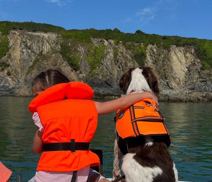 Dog Friendly Fowey